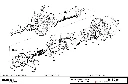BSA0692001900 B11030.webp