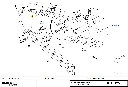 BSA0696005600 E13150.webp