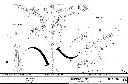 BSA0323107700 B13130.webp